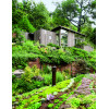 Ashley Penn, Living Roofs, Urban Gardens around the World