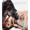 Guadalupe Laiz, Horses of Iceland