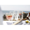 Champagne glass acrylic 4-pack